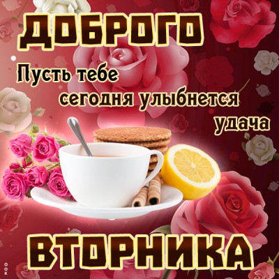 Открытка картинка  доброго вторника