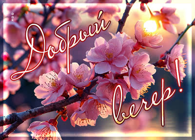 Picture картинка добрый вечер и вдохновения на вечерние часы