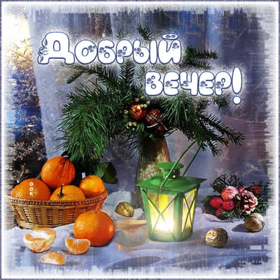 Postcard картинка добрый вечер с мандаринками