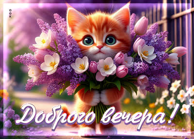 Picture картинка добрый вечер — время для отдыха и покоя