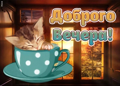 Открытка картинка добрый вечер с котиком
