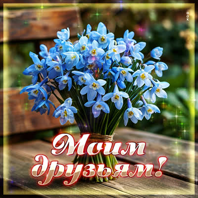 Picture картинка друзьям с цветами