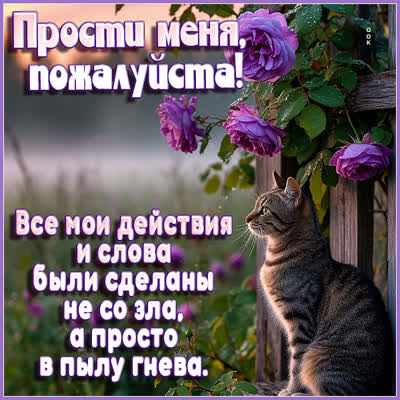 Postcard картинка извини за все