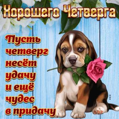 Картинка картинка хорошего четверга