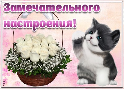Открытка картинка хорошего дня и отличного настроения