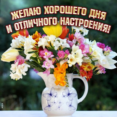 Картинка картинка хорошего дня и прекрасного настроения