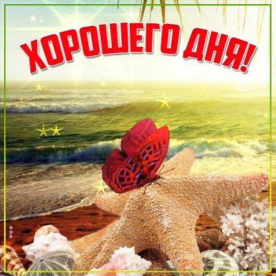 Открытка картинка хорошего дня с бабочкой