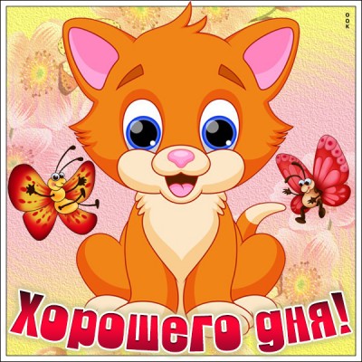 Открытка картинка хорошего дня с котиком