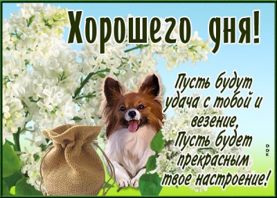 Открытка картинка хорошего дня с пожеланиями