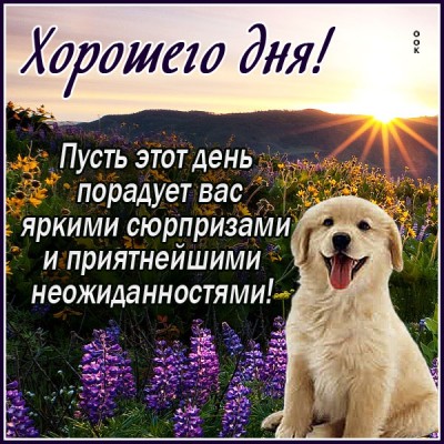 Картинка картинка хорошего дня с текстом