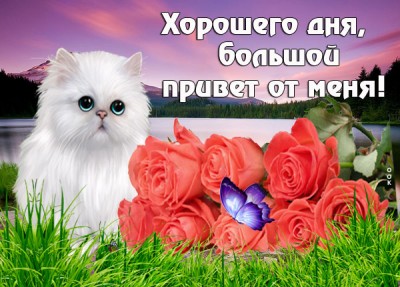 Открытка картинка хорошего дня с цветами