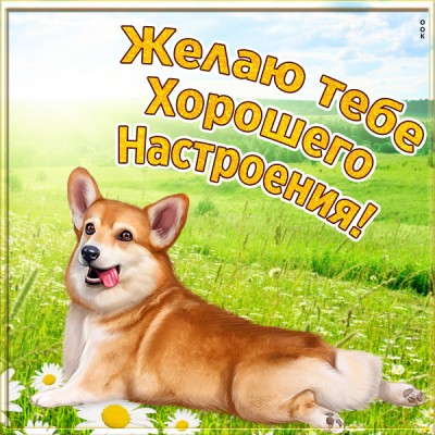 Открытка картинка хорошего настроения на весь день