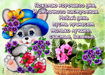Открытка картинка хорошего настроения на весь день