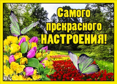 Картинка картинка хорошего настроения с бабочкой