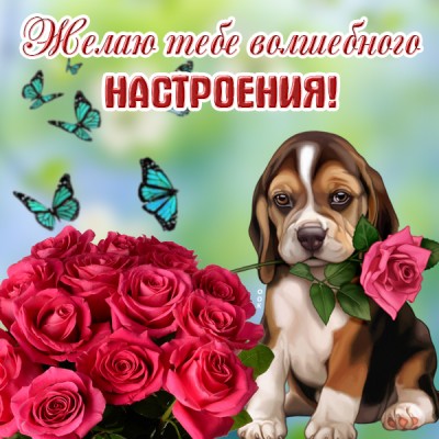Картинка картинка хорошего настроения с собачкой