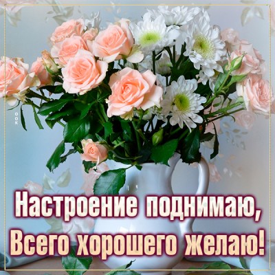 Открытка картинка хорошего настроения с цветами