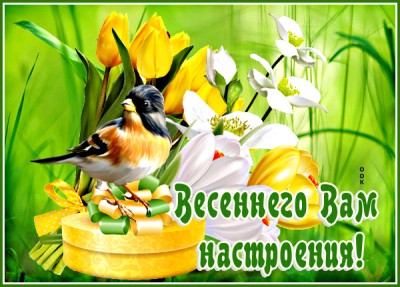 Картинка картинка хорошего настроения с великолепными цветами