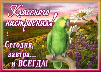 Открытка картинка хорошего настроения сегодня завтра и всегда