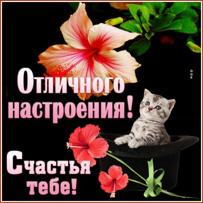 Картинка картинка хорошего настроения в любую погоду