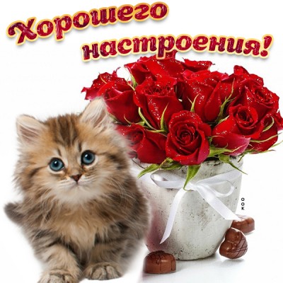 Картинка картинка хорошего настроения женщине