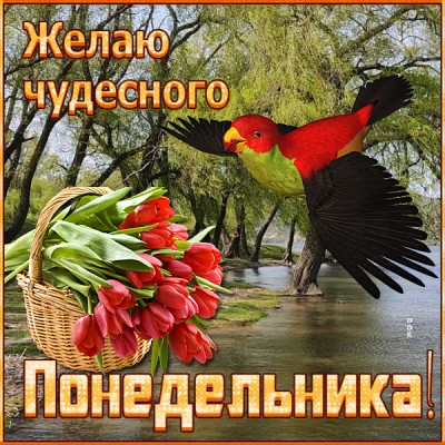 Открытка картинка хорошего понедельника, удачной недели