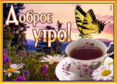 Картинка картинка хорошего утра