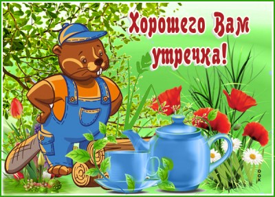 Картинка картинка  хорошего вам утречка