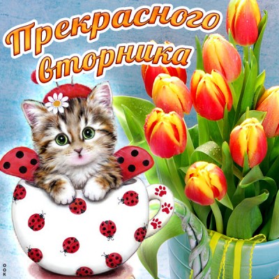 Картинка картинка хорошего вторника