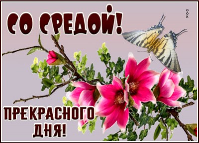 Картинка картинка хорошей среды с цветами