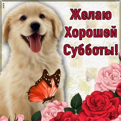 Картинка картинка классной субботы