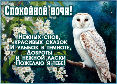 Picture картинка красивых сказчных снов