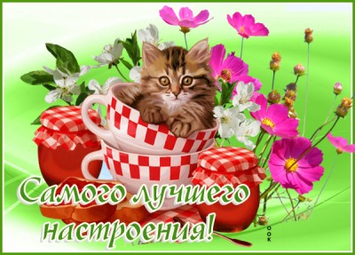Картинка картинка лучшего настроения