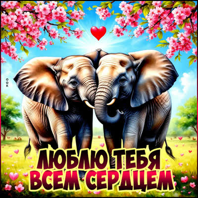 Picture картинка люблю тебя всем сердцем