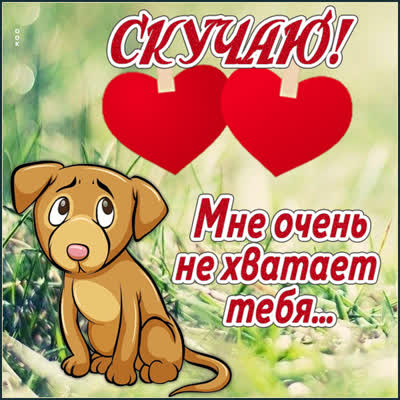 Postcard картинка мне очень не хватает тебя