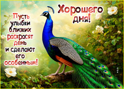 Postcard картинка много улыбок и радости на весь день