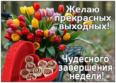 Postcard картинка наслаждайся каждым мгновением хороших выходных