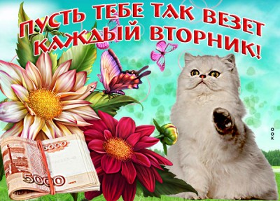 Открытка картинка нескучного вторника