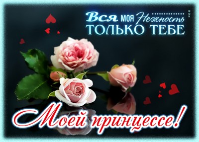 Картинка картинка нежная роза для тебя