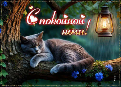 Picture картинка ночи спокойной и мирной