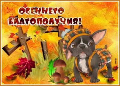 Картинка картинка осень наступила