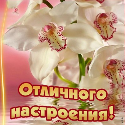 Открытка картинка отличного настроения