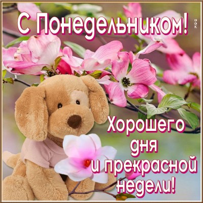 Картинка картинка отличного понедельника и недели