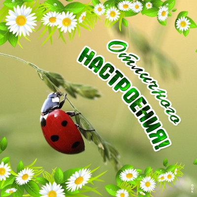 Картинка картинка отличного вам настроения