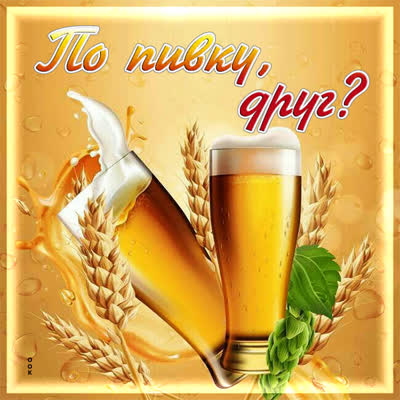 Picture картинка по пивку, друг?