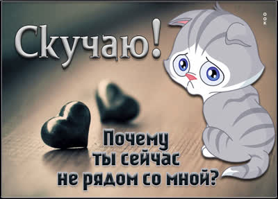 Picture картинка почему ты сейчас не рядом со мной ?