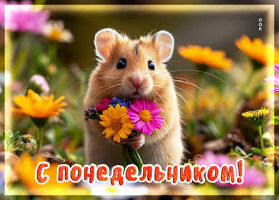 Postcard картинка понедельник с хорошим настроением на весь день