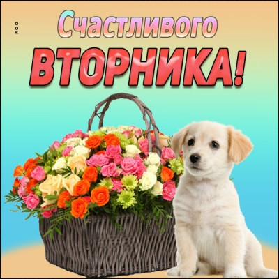 Картинка картинка поздравление со вторником