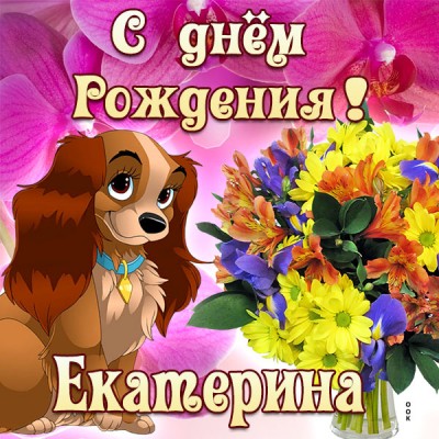 Открытка картинка поздравляю с днем рождения екатерина