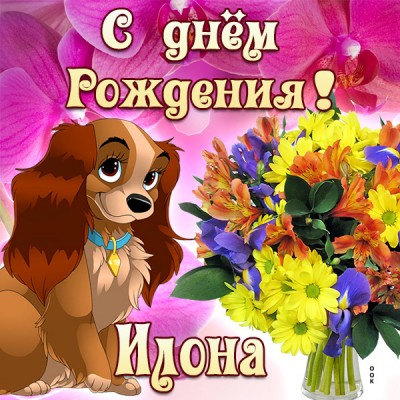 Открытка картинка поздравляю с днем рождения илона