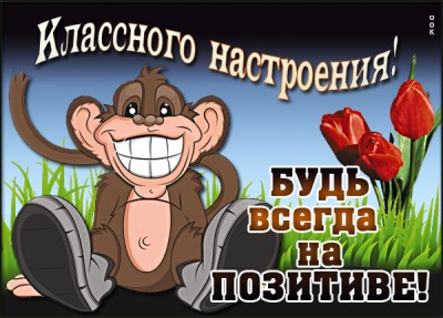 Открытка картинка пожелание хорошего дня и настроения